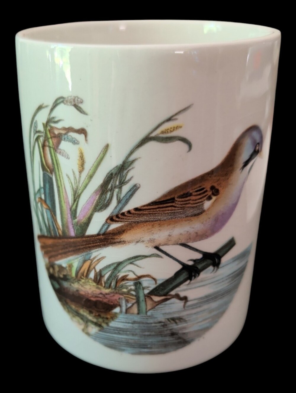 Portmeirion Birds Of Britain Small Canister England Vintage AS IS No Lid 1978